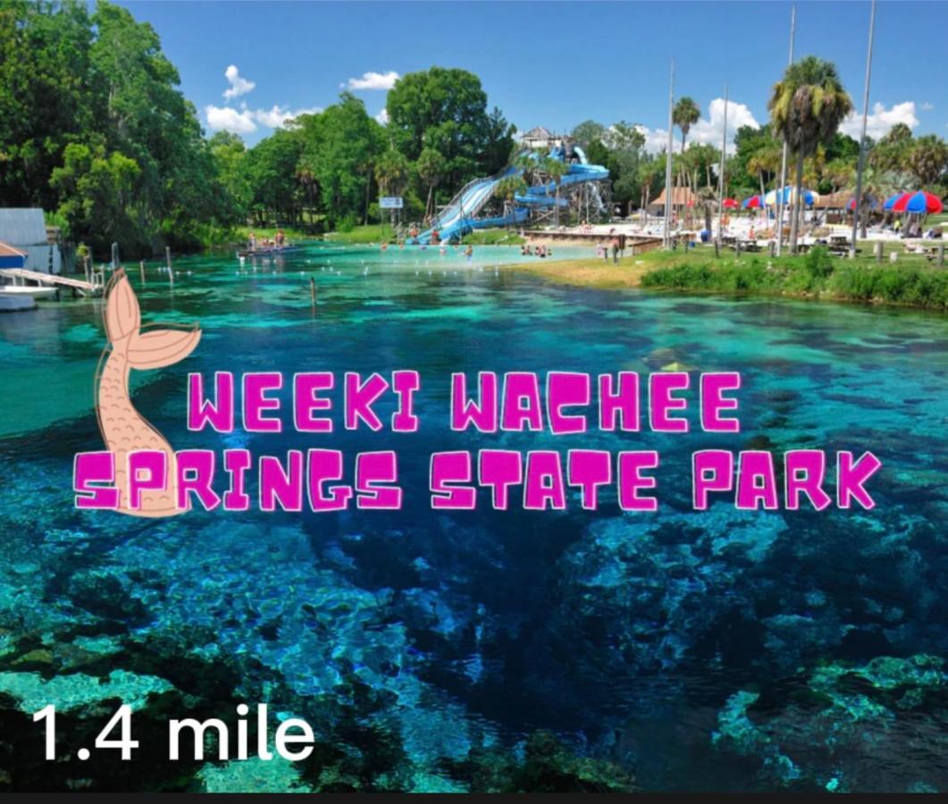 Bonne Nuit Weeki Wachee 빌라 외부 사진
